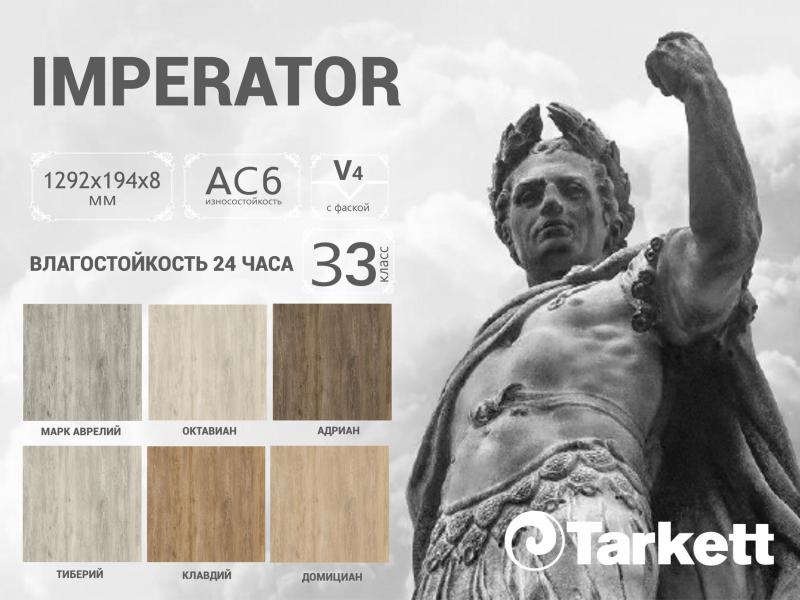 Новая коллекция ламината "Император" от Tarkett