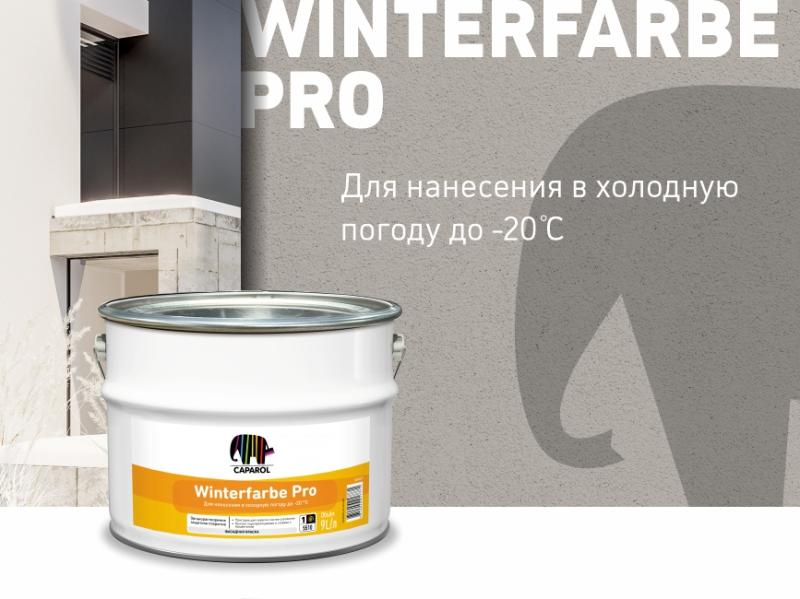 Мороз не помеха: фасадная краска до -20°C. Зимняя фасадная краска Winterfarbe Pro