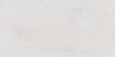 Proto Blanco белый 60x119,5 керамический гранит матовый SG50001420R