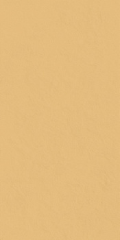 Серфейс Сан керамограни патинированный 60х120