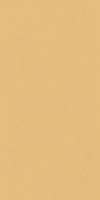 Серфейс Сан керамограни патинированный 60х120 Серфейс Сан керамограни патинированный 60х120