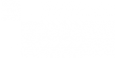 Super White керамогранит полированный 60х120