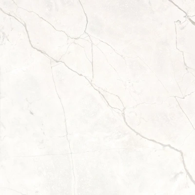 Connect Pearl серый светлый 60x60 керамический гранит матовый SG624920R