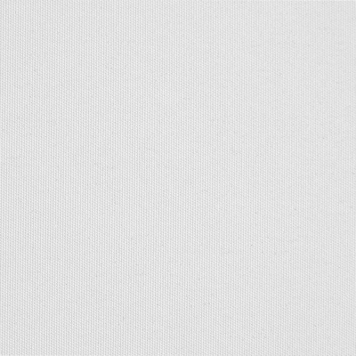 ПЛЭЙН BLACK-OUT 0225 белый, 200 см