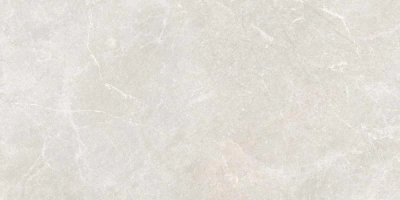 Rocky Bianco PRO 60x120 керамический гранит структурный матовый (ghr)
