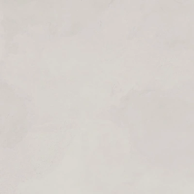 Evolution Blanco белый 60x60 керамический гранит матовый карвинг SG602520R