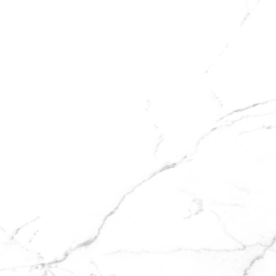 Discovery Blanco белый 60x60 керамический гранит матовый SG606920R