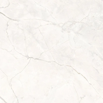 Connect Pearl серый светлый 60x60 керамический гранит матовый SG624920R