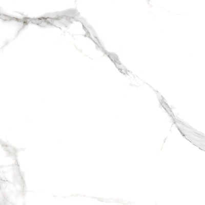 Viva белый 40,2x40,2 керамический гранит матовый SG169700N