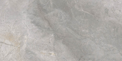 Masterstone керамогранит silver полированный 59,7х119,7 Masterstone керамогранит silver полированный 59,7х119,7