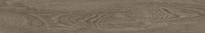 Navona Natural серо-коричневый 20x120 керамический гранит матовый структурный K948009R0001LPEB