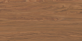 Олива керамогранит коричневый  60х119,5