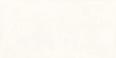 Betonica Blanco PRO 60x120 керамический гранит матовый (ghr) софт
