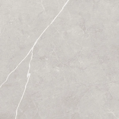 Scandy серый светлый 60x60 керамический гранит матовый SG645120R