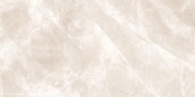 Daytone Grey 60x120 керамический гранит полированный