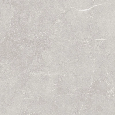 Scandy серый светлый 60x60 керамический гранит матовый SG645120R