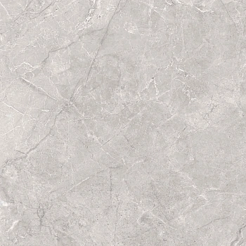 Pluto Silver серый светлый 60x60 керамический гранит матовый SG625820R