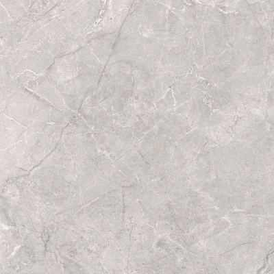 Pluto Silver серый светлый 60x60 керамический гранит матовый SG625820R