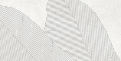 Caravan 3 Blanco 40x80 декор матовый