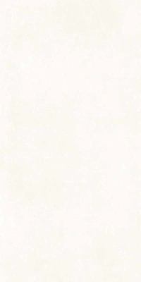 Betonica Blanco PRO 80x160 керамический гранит матовый (ghr) софт