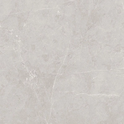 Scandy серый светлый 60x60 керамический гранит матовый SG645120R