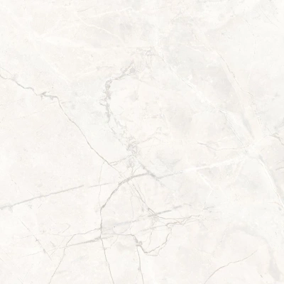 Connect Pearl серый светлый 60x60 керамический гранит матовый SG624920R