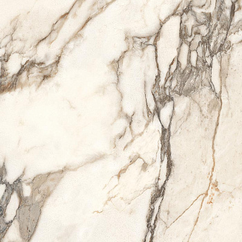 Calacatta Bronze крамогранит полированный 60х60