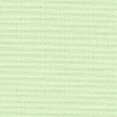 ОМЕГА 5850 св. зеленый 250 см