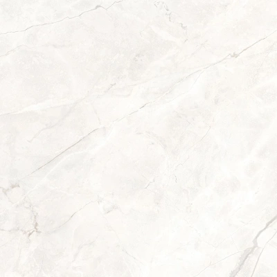 Connect Pearl серый светлый 60x60 керамический гранит матовый SG624920R