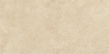 Рум Беж Стоун керамогранит патинированный 60х120