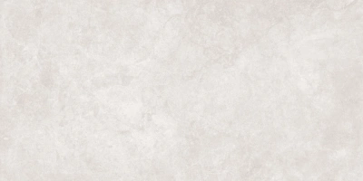 Alix White 60x120 керамический гранит матовый микроструктура