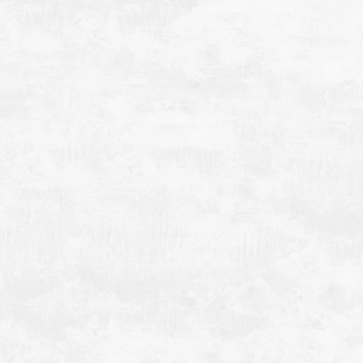 Flagman светло-серый 60x60 керамический гранит матовый K952736R0001LPET