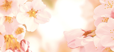 Cherry панно из 4-х частей 40х88