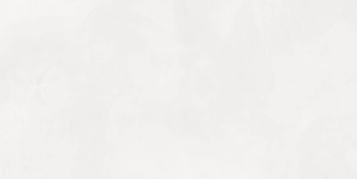 Evolution Blanco 40x80 плитка матовый