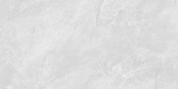 Berna Silver серый светлый 60x119,5 керамический гранит матовый структурный LP6012G0231R