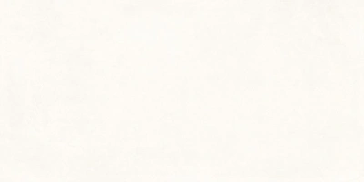 Betonica Blanco PRO 60x120 керамический гранит матовый (ghr) софт