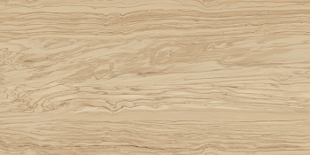 Олива керамогранит бежевый 60х119,5