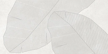 Caravan 4 Blanco 40x80 декор матовый