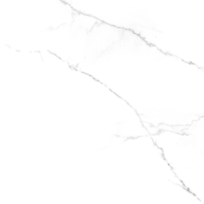 Discovery Blanco белый 60x60 керамический гранит матовый SG606920R