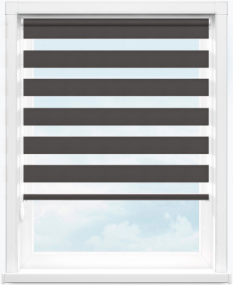 Зебра ЛОРА 1854 графит, 300 см