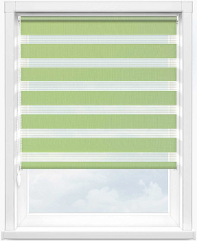 Зебра СТАНДАРТ 5850 св.зеленый 280 см