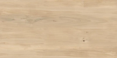 Керамогранит Buono Ceramica Forest Sweet Home Matt