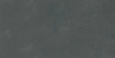 Evolution серый 40x80 плитка матовый