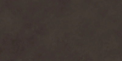 Evolution Marron 40x80 плитка матовый