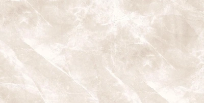 Daytone Grey 60x120 керамический гранит полированный