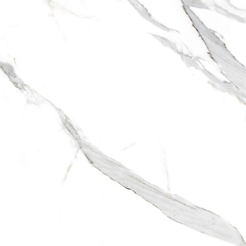 Viva белый 40,2x40,2 керамический гранит матовый SG169700N