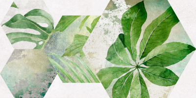 Focus плитка ботаника зеленый 25х50