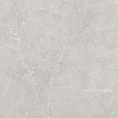 Scandy серый светлый 60x60 керамический гранит матовый SG645120R