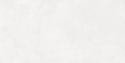 Evolution Blanco 40x80 плитка матовый