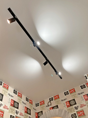 Матовый потолок с трековым освещением из черных спотов и шинопровода